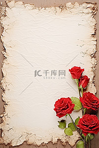 纸张上的背景图片_纸上的红玫瑰