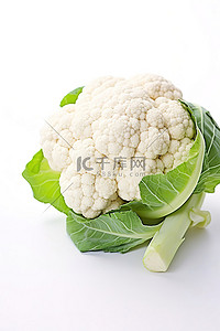 白色背景上的花椰菜小花