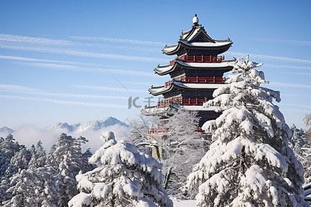 雪山俯瞰红塔和松树
