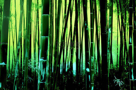 宜宾竹林背景图片_森林里的竹树