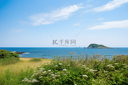 日本海岸线图像与杂草和树木