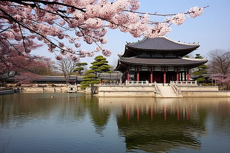 韩国首尔龙基里河畔的玫瑰寺