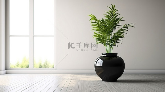 真实房间背景图片_空荡荡的房间里白色木地板的真实 3D 渲染，黑色花瓶里有绿色植物