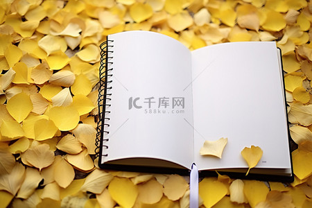 黄叶落叶背景图片_地上覆盖着黄叶的心形空笔记本