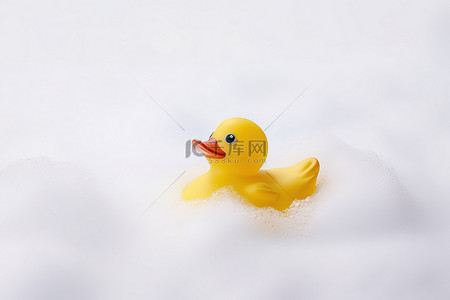 橡皮鸭在白色背景的雪中游泳