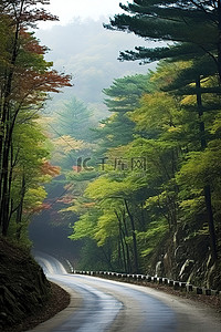 山路背景图片_当当忠山的山路