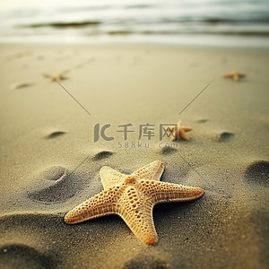海岸沙滩海星背景图片_躺在沙滩上的海星