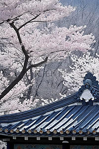 顶背景图片_瓦顶和樱花的寺庙