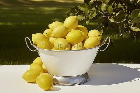 一半黄色背景图片_田野里一桶白色的黄色葡萄柚