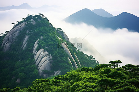 云雾缭绕的天空背景图片_山顶云雾缭绕，绿树成荫