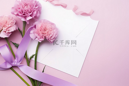 粉色康乃馨花，带丝带和粉色背景礼品卡