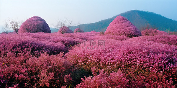 全麦吐司背景图片_许多不同颜色的粉红色灌木丛
