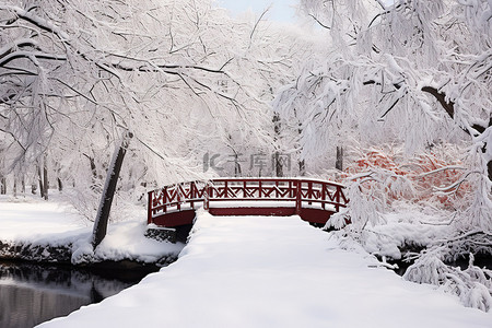 森林边缘树木旁的一座雪桥