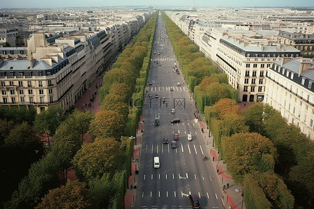 欧洲背景图片_巴黎的一条大道附近有树