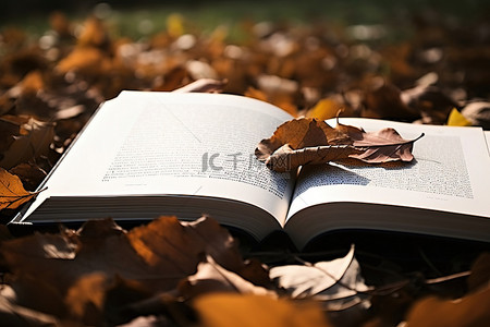 一本打开的书躺在一堆树叶中