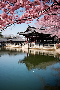 拥有美丽樱花树和建筑物的公园