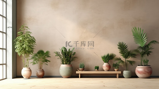 装饰现代背景图片_空墙的 3D 渲染，室内植物装饰精美