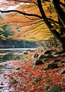 在河边背景图片_秋天的树叶在河边