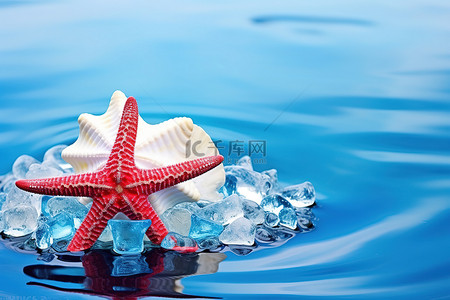 蓝色冰爽背景背景图片_海星壳和水中的倒影