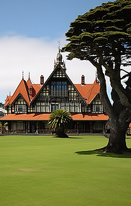 草地新西兰背景图片_一棵大树矗立在房子前面