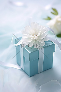 小蓝方盒白花