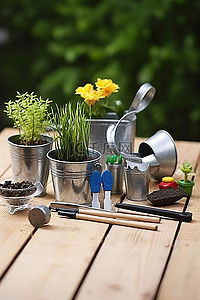 桌子上的小型园艺设备