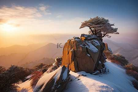 大雪背景图片_山顶上有一块岩石，上面有一棵大雪覆盖的树