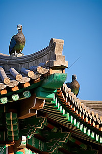 两只鸟栖息在寺庙的顶部