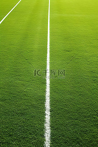 草地上有线的足球场
