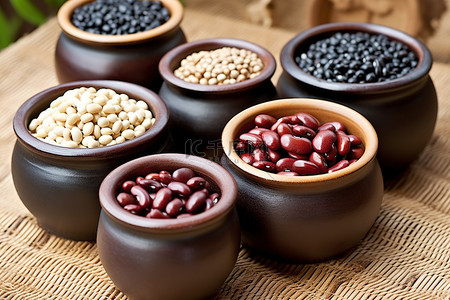 中国红豆盆栽黑豆和其他类型的豆类