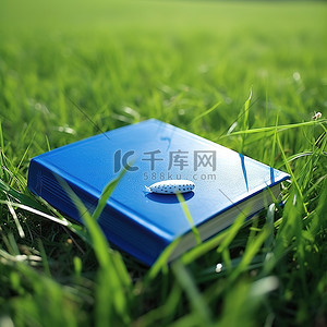本草纲目视频背景图片_一本蓝色的书在田野的草地上