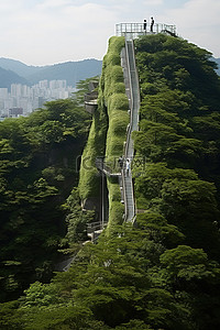 韩国首尔的绿墙