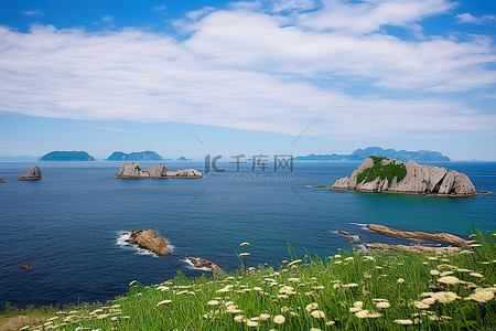奇怪的背景图片_天空环绕的小岛和色彩缤纷的花朵的海景