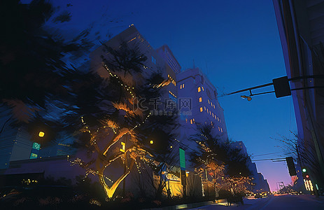 圣诞节夜晚背景图片_树街灯与夜景
