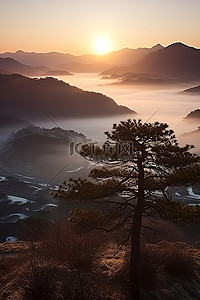 山树背景图片_韩国山树顶和山谷的日落