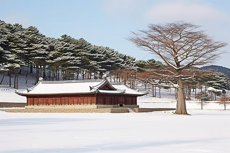 树木房子人背景图片_雪地上树木覆盖的韩国房子