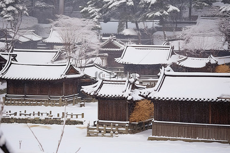 济州城南白雪皑皑的传统村庄