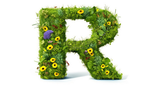 花和草 r 字母隔离在白色背景 3D 插图上