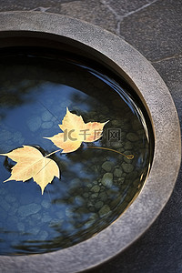 漂浮枫叶背景图片_一个带勺子的碗漂浮在圆形混凝土水池上