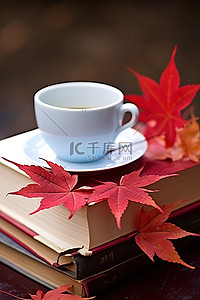 书本上的杯子和咖啡杯红枫叶