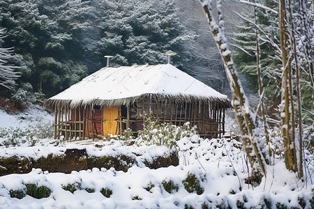 冬天竹子背景图片_小屋被雪覆盖