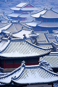 韩国首尔冬季屋顶积雪