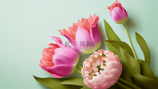 粉色暖背景图片_母亲节美丽粉色花朵背景