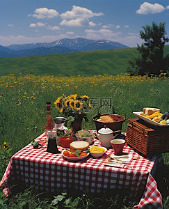 山里的鸡背景图片_在阳光明媚的日子去山里野餐，庆祝夏天的到来