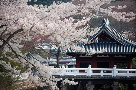 寺庙旅行背景图片_木结构附近的一棵白樱桃树，背景是康山桥
