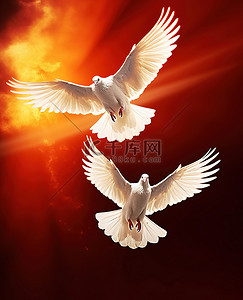 两只白鸽在橙色燃烧的背景上飞翔