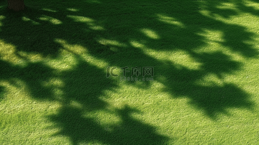 春天绿色草坪上的光影树影素材