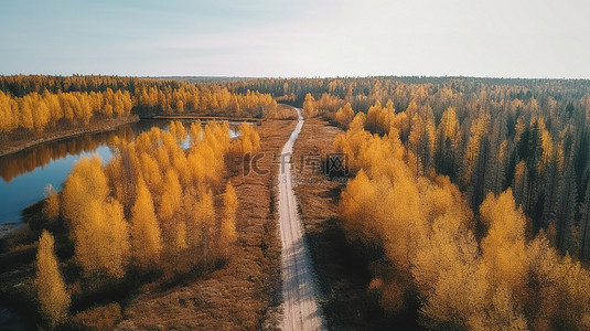 通过无人机视图 3D 渲染芬兰秋季森林湖和乡村道路的空中视角