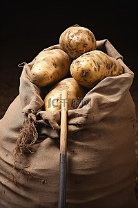 马铃薯种植背景图片_袋装马铃薯种植用