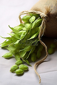 蔬菜种子种子背景图片_袋子里装着山药叶，里面有一袋豌豆和种子